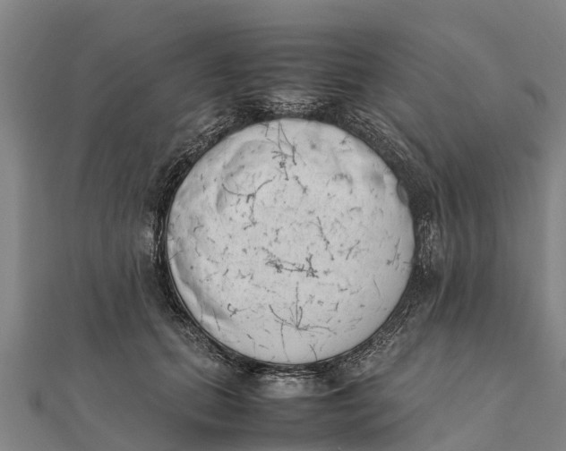 X0000111530655200908041305