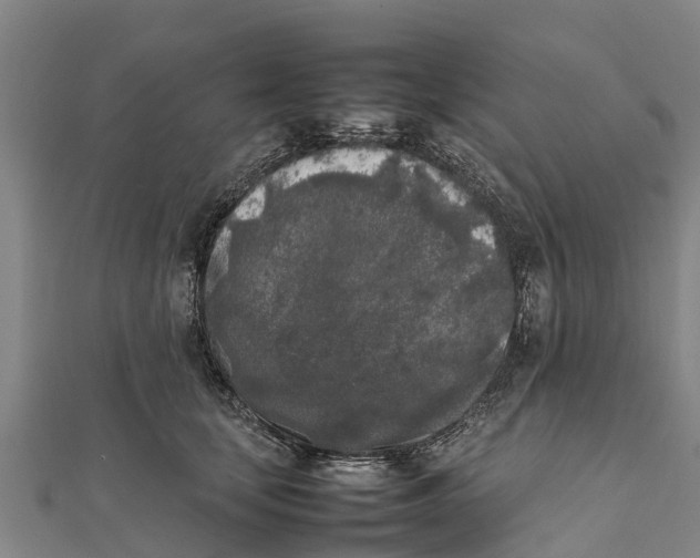 X0000111530659200908041305