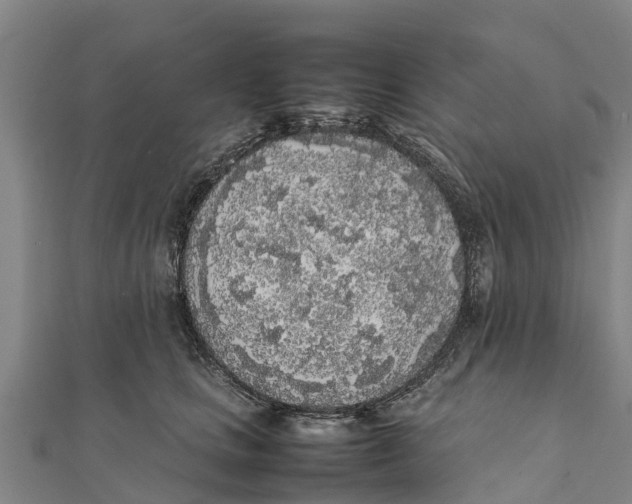 X0000111530661200908041306