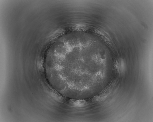 X0000111530663200908041306