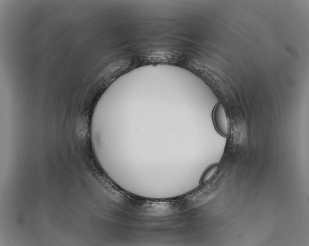 X0000111530665200908041306