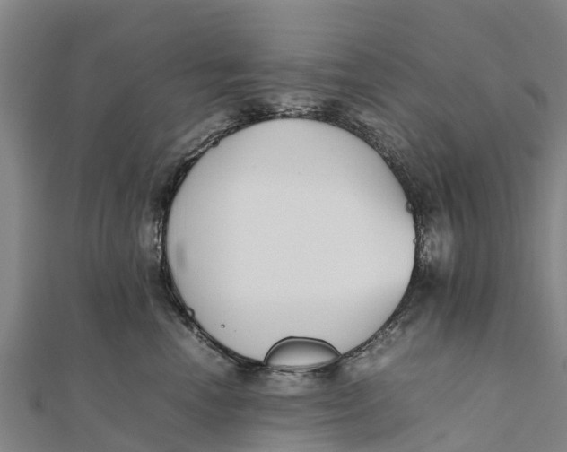 X0000111530666200908041306