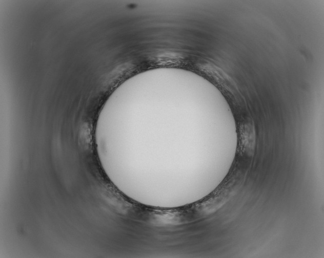 X0000111530667200908041306