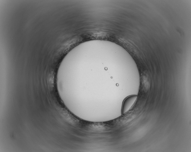 X0000111530668200908041306