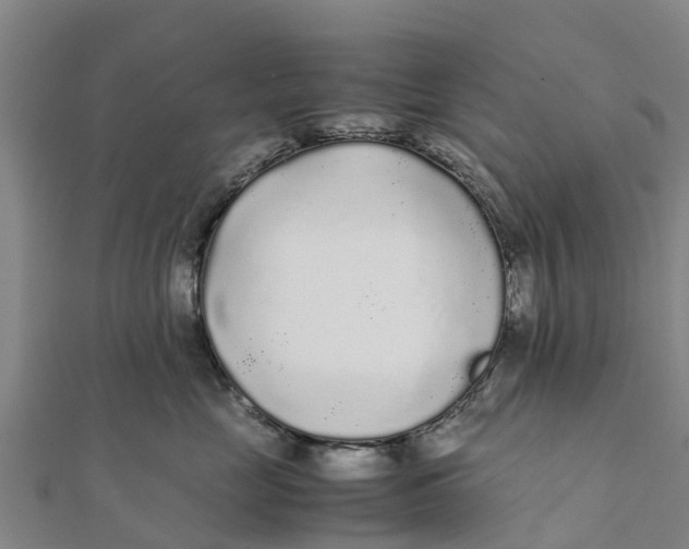 X0000111530669200908041306