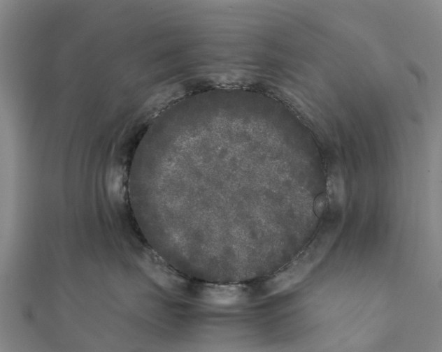 X0000111530671200908041306