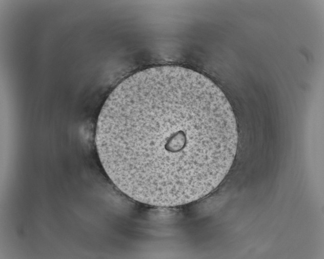 X0000111530672200908041306