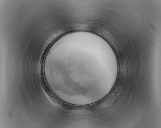 X0000111530674200908041305