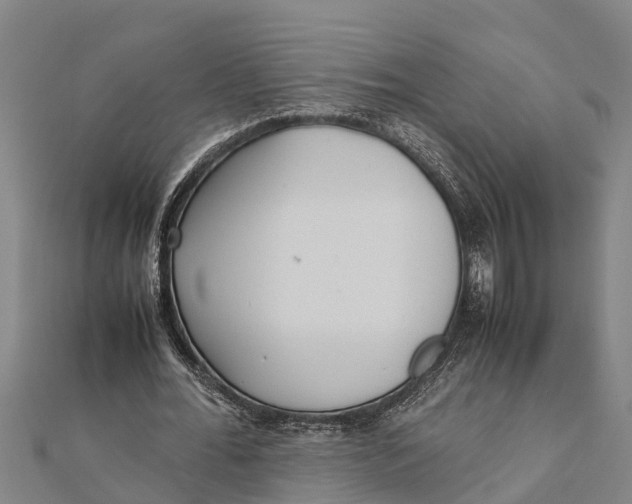 X0000111530676200908041305