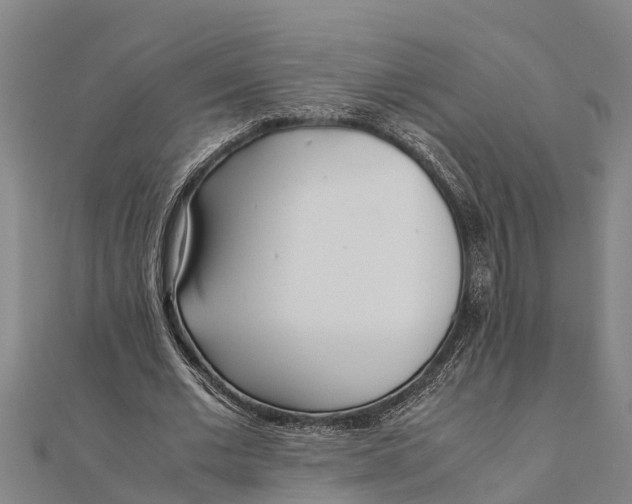 X0000111530677200908041305