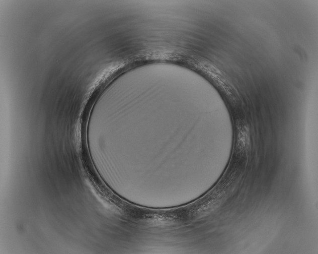 X0000111530678200908041305