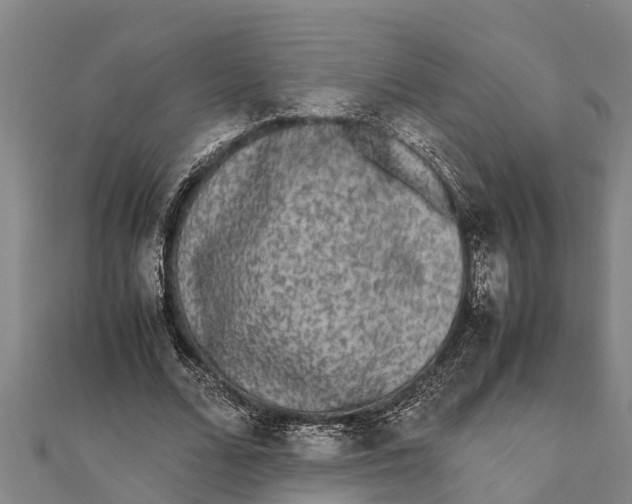 X0000111530680200908041305