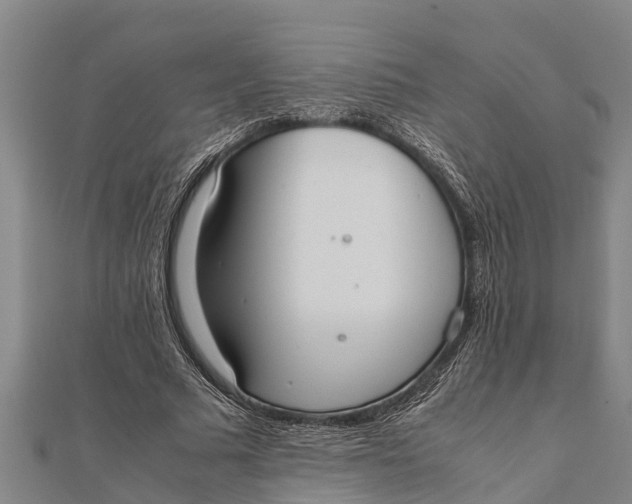 X0000111530681200908041305