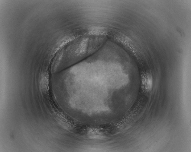 X0000111530684200908041305