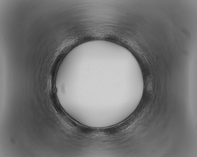 X0000111530685200908041305