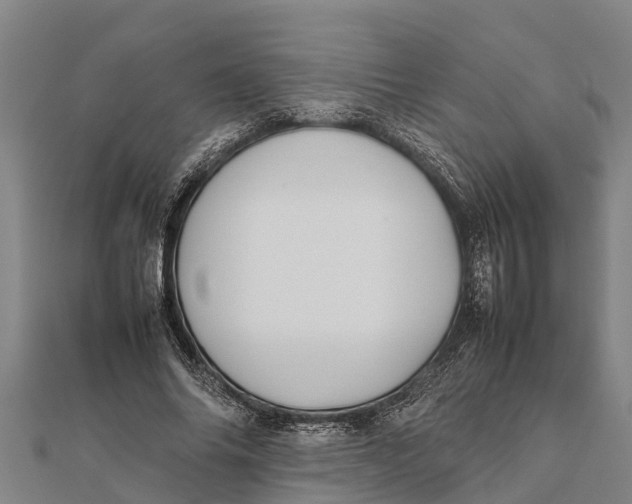 X0000111530686200908041305