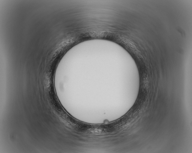 X0000111530687200908041305