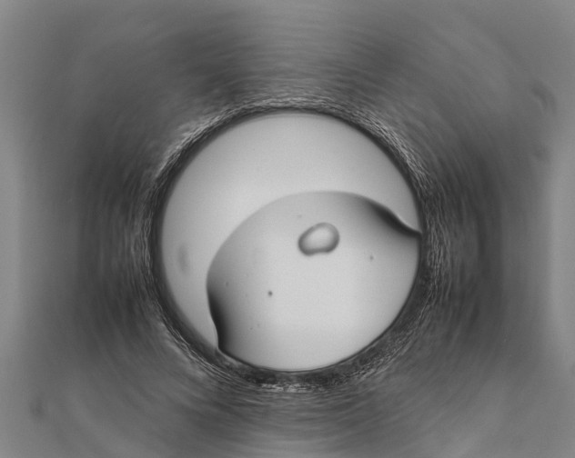 X0000111530688200908041305