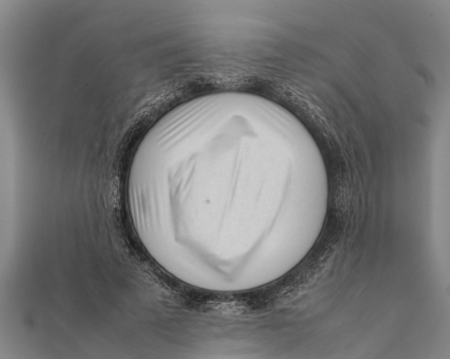 X0000111530689200908041305