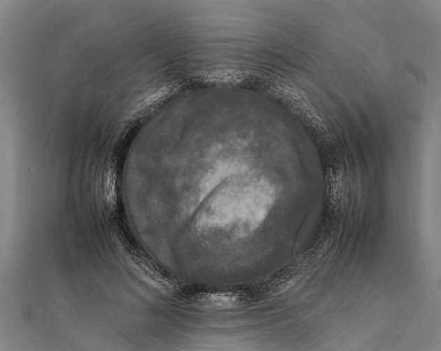 X0000111530692200908041305