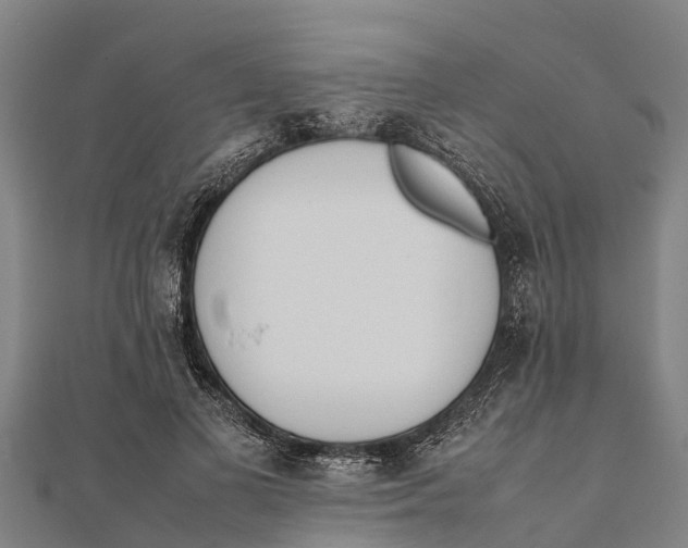 X0000111530693200908041305