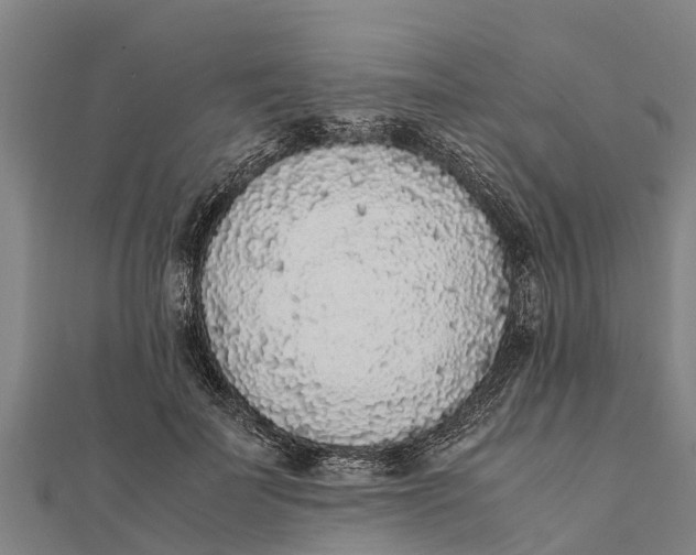 X0000111530699200908041305