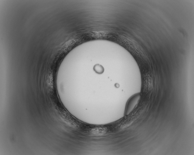 X0000111530700200908041305