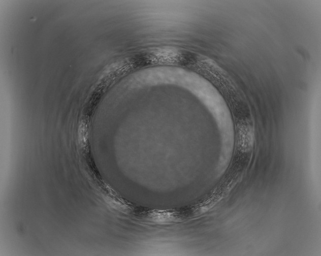 X0000111530701200908041305