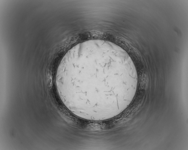 X0000111530703200908041305