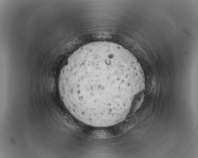 X0000111530704200908041305