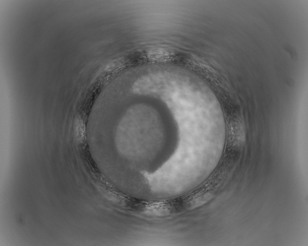 X0000111530705200908041305