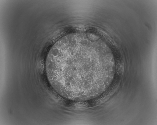 X0000111530707200908041305