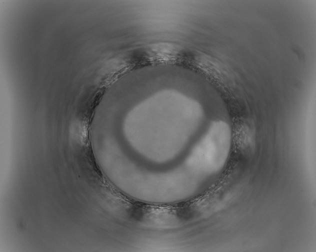 X0000111530709200908041305