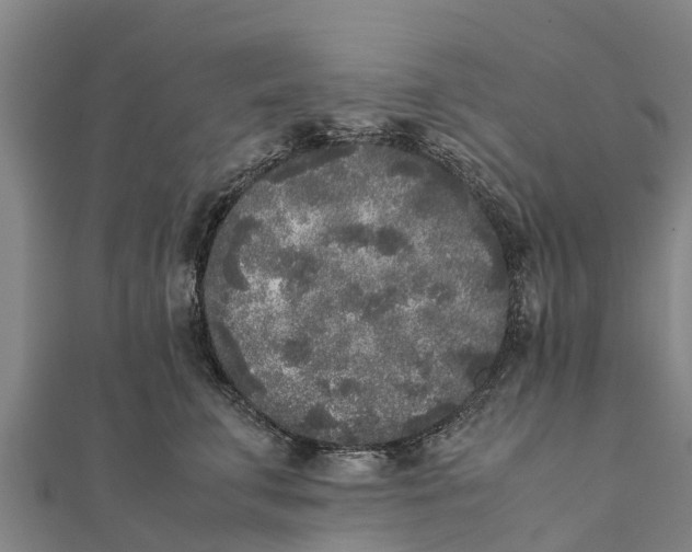 X0000111530711200908041305