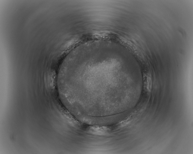 X0000111530712200908041305