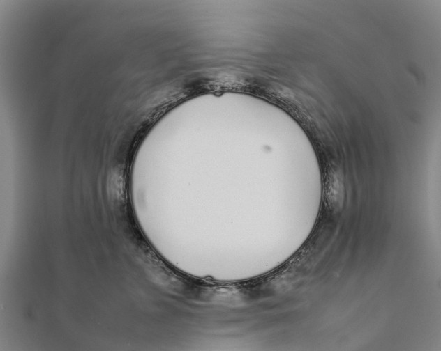 X0000111530715200908041304