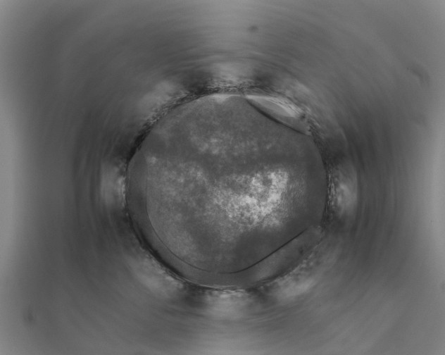 X0000111530716200908041304