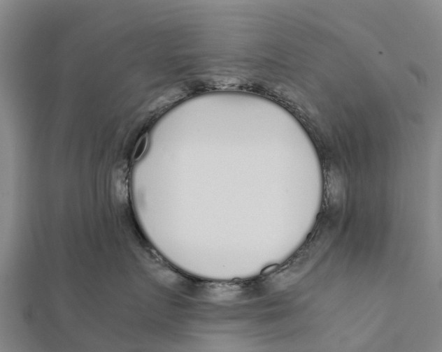 X0000111530719200908041304