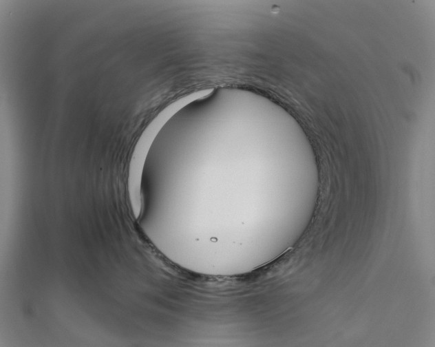 X0000111530720200908041304