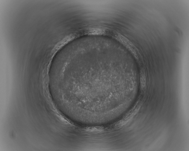 X0000111530721200908041304