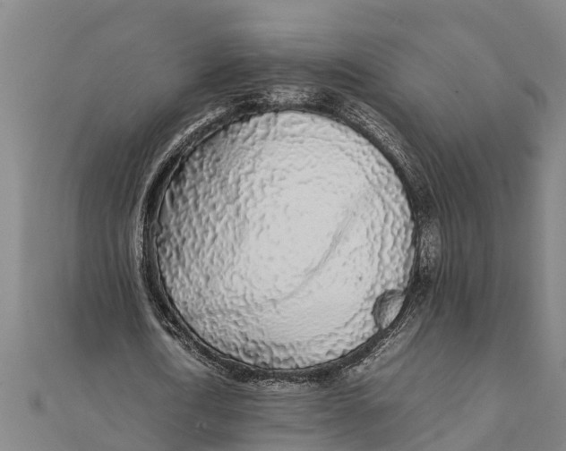 X0000111530722200908041304