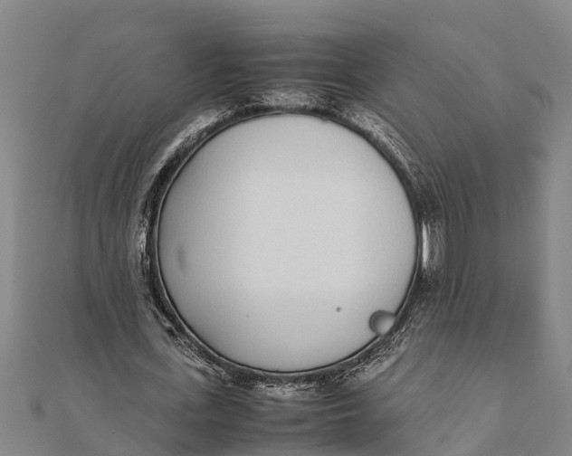 X0000111530723200908041304