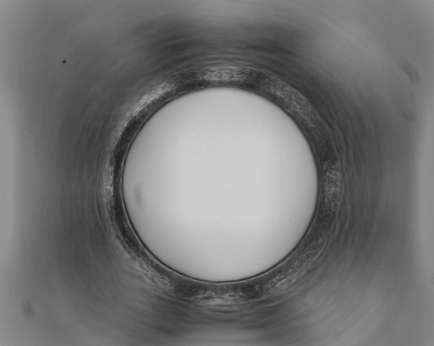 X0000111530727200908041304