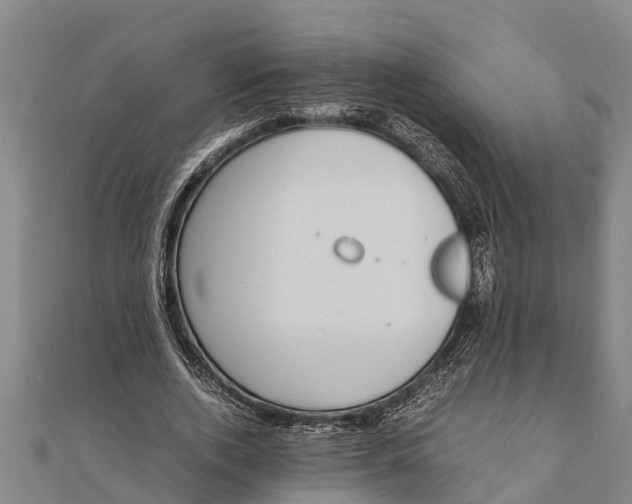 X0000111530728200908041304