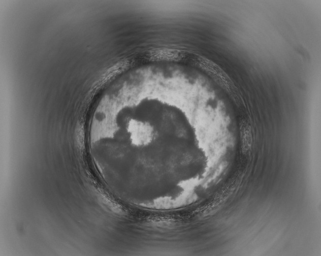 X0000111530729200908041304