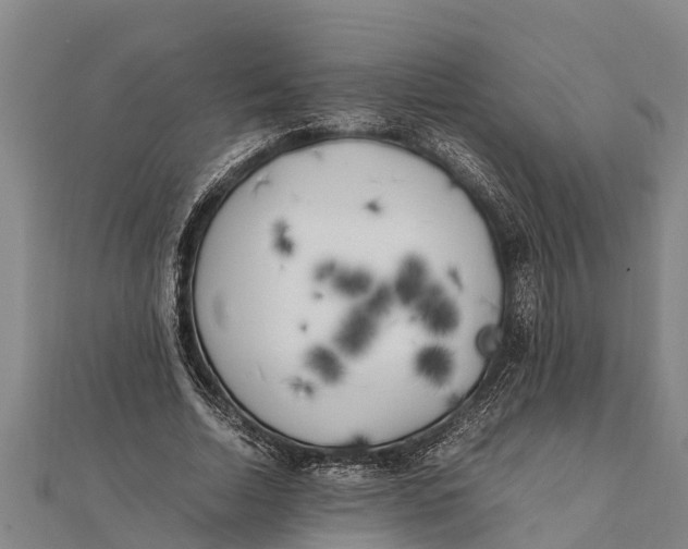 X0000111530730200908041304