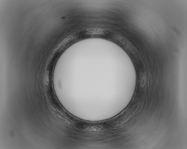 X0000111530731200908041304