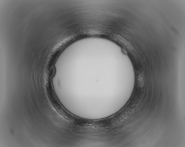 X0000111530732200908041304