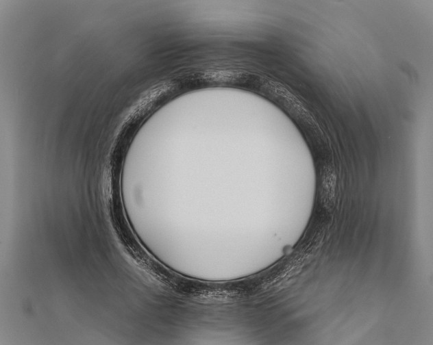 X0000111530734200908041304