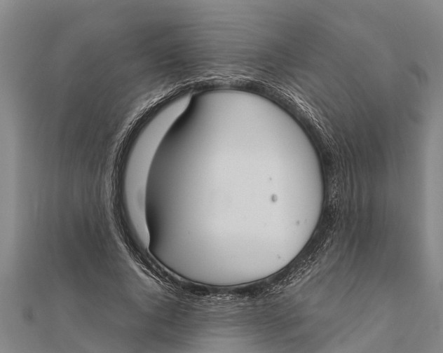 X0000111530736200908041304